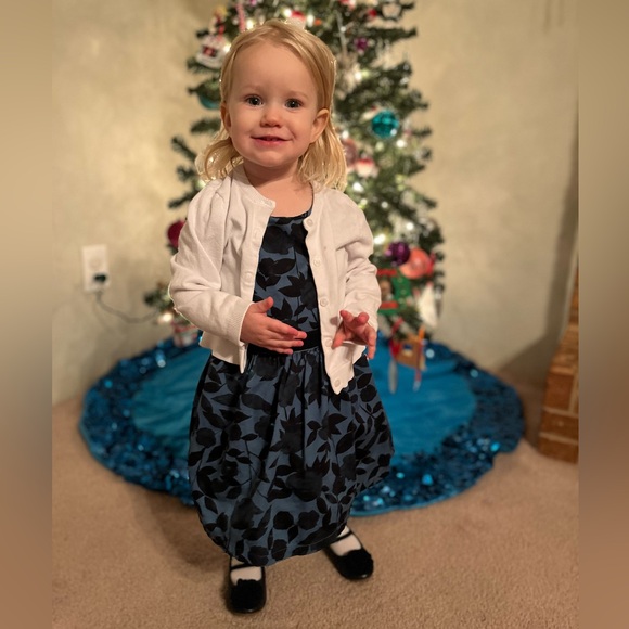 Blue Carter’s Toddler Girl's Sleeveless Holiday Dress Size 2T - Picture 8 of 8